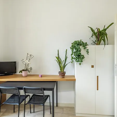 Intero - Aurora טורינו