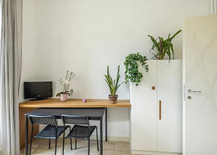 Intero - Aurora Turín